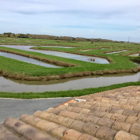 Lägenhet Au Calme, Au Sud De L'ile